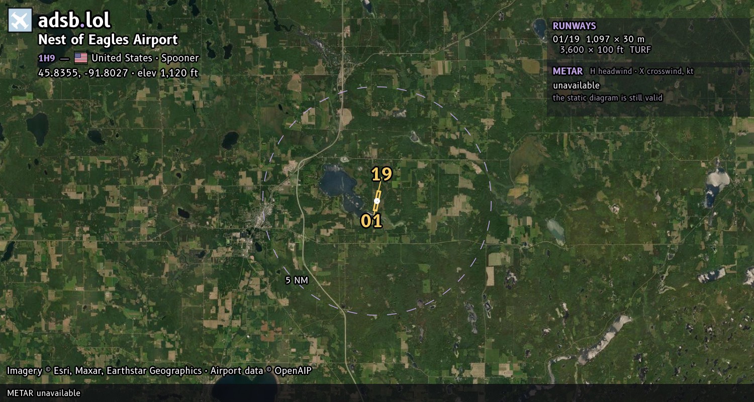 Satellite map with the runway layout of Nest of Eagles Airport (1H9)
