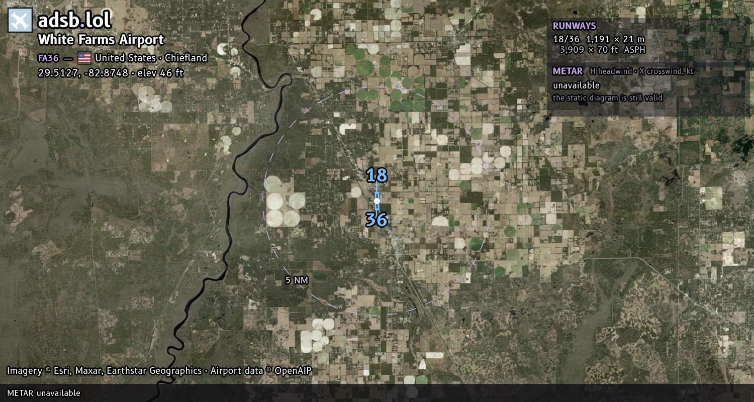 Satellite map with the runway layout of White Farms Airport (FA36)