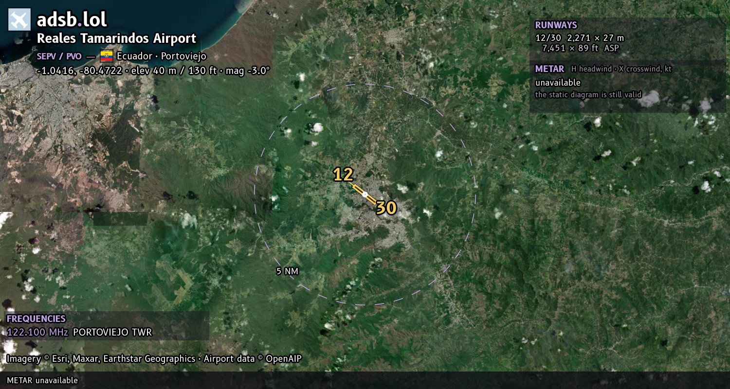 Satellite map with the runway layout of Reales Tamarindos Airport (SEPV)