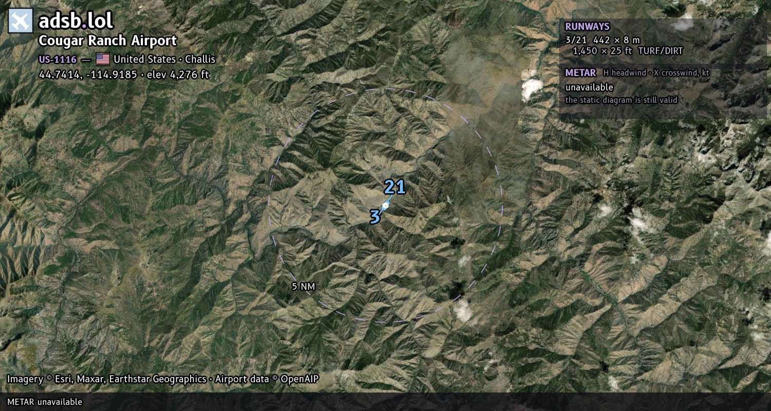 Satellite map with the runway layout of Cougar Ranch Airport (US-1116)